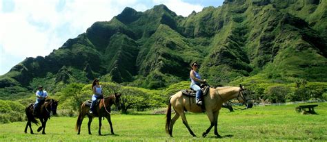 Hawaii (horse) .